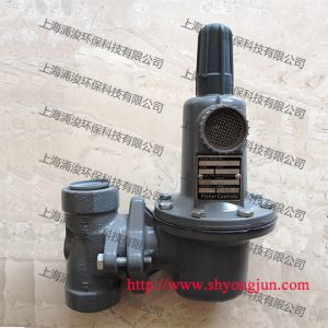 FISHER费希尔减压阀调压器 627-496
